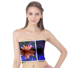 Sumac Collage Tube Top by okhismakingart