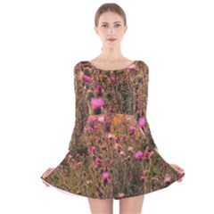 Thistle Field Long Sleeve Velvet Skater Dress by okhismakingart