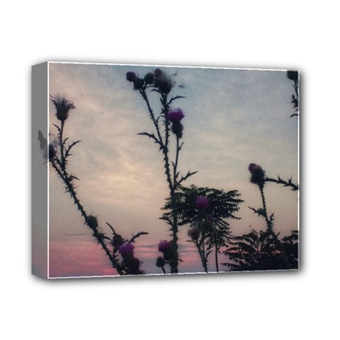 Hazy Thistles Deluxe Canvas 14  X 11  (stretched) by okhismakingart