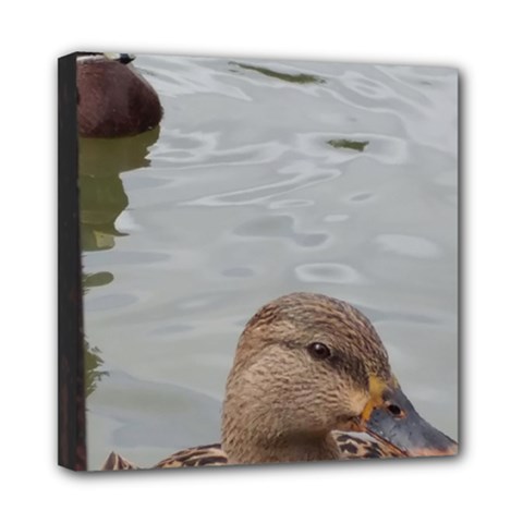 Framed Ducks Mini Canvas 8  X 8  (stretched) by okhismakingart