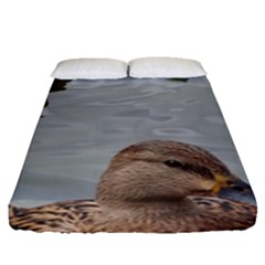 Framed Ducks Fitted Sheet (queen Size) by okhismakingart