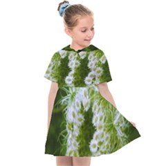 Green Closing Queen Annes Lace Kids  Sailor Dress by okhismakingart