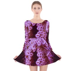 Purple Closing Queen Annes Lace Long Sleeve Velvet Skater Dress by okhismakingart