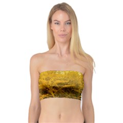 Gold Goldenrod Bandeau Top by okhismakingart