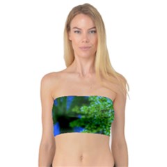 Lime Green Sumac Bloom Bandeau Top by okhismakingart