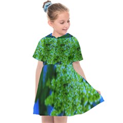 Lime Green Sumac Bloom Kids  Sailor Dress by okhismakingart