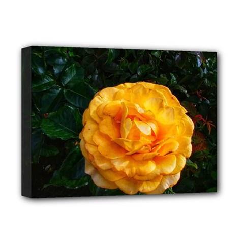 Yellow Rose Deluxe Canvas 16  X 12  (stretched)  by okhismakingart