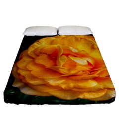 Yellow Rose Fitted Sheet (queen Size) by okhismakingart