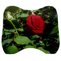 Deep Red Rose Velour Head Support Cushion by okhismakingart