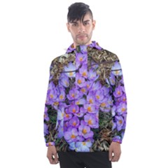 Signs Of Spring Purple Crocua Men s Front Pocket Pullover Windbreaker by Riverwoman