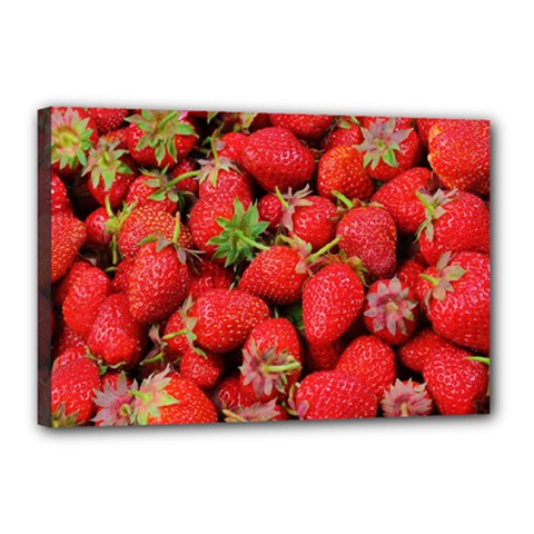 Strawberries Canvas 18  X 12  (stretched) by TheAmericanDream