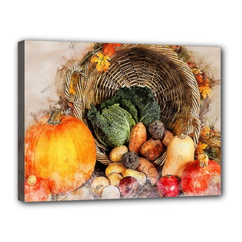 Pumpkin Vegetables Autumn Canvas 16  X 12  (stretched) by Pakrebo