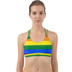 Lgbt Rainbow Pride Flag Back Web Sports Bra by lgbtnation