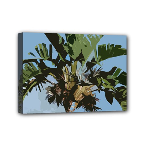 Palm Tree Mini Canvas 7  X 5  (stretched) by snowwhitegirl