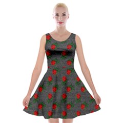 Black Denim And Roses Velvet Skater Dress by snowwhitegirl