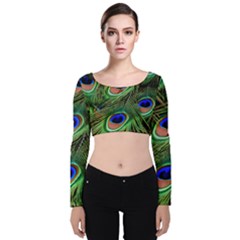 Peacock Feathers Plumage Iridescent Velvet Long Sleeve Crop Top by HermanTelo