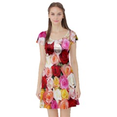 Roses Color Beautiful Flowers Short Sleeve Skater Dress by BangZart