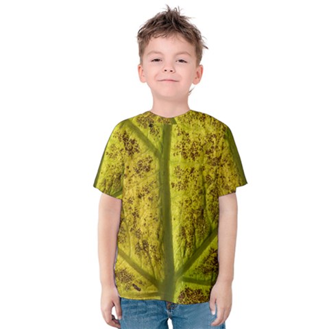 Leaf Structure Texture Background Kids  Cotton Tee by Pakrebo