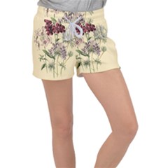 Botanical Print Antique Flora Plant Women s Velour Lounge Shorts by Pakrebo