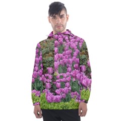 Late April Purple Tulip Men s Front Pocket Pullover Windbreaker by Riverwoman