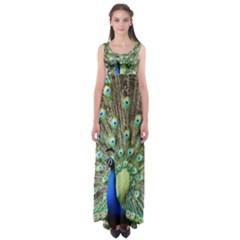 Blue And Green Peacock Empire Waist Maxi Dress by Pakrebo