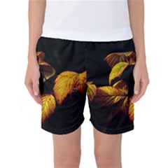 Nature Yellow Plant Leaves Women s Basketball Shorts by Pakrebo