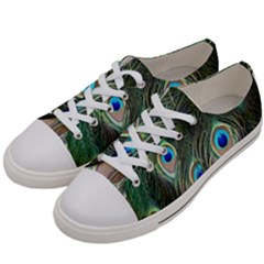 Peacock Feathers Peacock Bird Women s Low Top Canvas Sneakers by Wegoenart