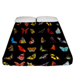 Butterfly Fitted Sheet (queen Size) by ArtworkByPatrick