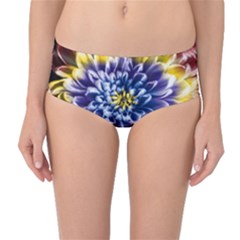 Rainbow Chrysanthemum Mid-waist Bikini Bottoms by bloomingvinedesign