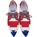 Costa Rica Flag Pointed Oxford Shoes View1