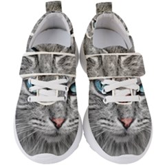 Cat Animal Cat Portrait Mackerel Kids  Velcro Strap Shoes by Sudhe