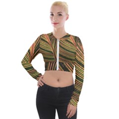 Leaf Patten Lines Colorful Plant Long Sleeve Cropped Velvet Jacket by Simbadda