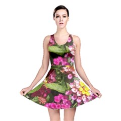 Summer Lantana W Bee Reversible Skater Dress by Riverwoman