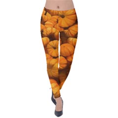 Mini Pumpkins Velvet Leggings by bloomingvinedesign