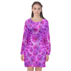 Nature Blossom Plant Flower Purple Petal Bloom Pattern Pollen Pink Flora Flowers Dahlia Design Beaut Long Sleeve Chiffon Shift Dress  by Vaneshart