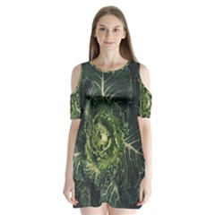 Plant Leaf Flower Green Produce Vegetable Botany Flora Cabbage Macro Photography Flowering Plant Shoulder Cutout Velvet One Piece by Vaneshart