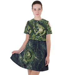 Plant Leaf Flower Green Produce Vegetable Botany Flora Cabbage Macro Photography Flowering Plant Short Sleeve Shoulder Cut Out Dress  by Vaneshart