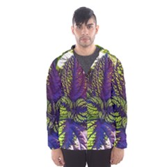 Dark Coleus Men s Hooded Windbreaker by Riverwoman