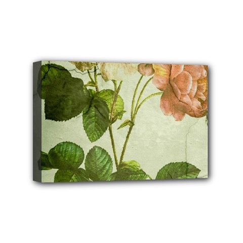 Peony 2507643 1920 Mini Canvas 6  X 4  (stretched) by vintage2030