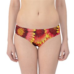 Background 1655938 960 720 Hipster Bikini Bottoms by vintage2030