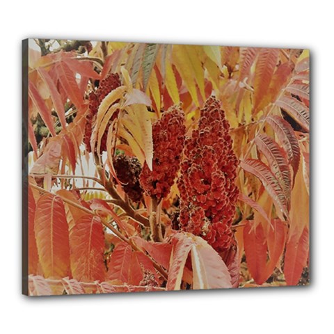 Autumn Colors Leaf Leaves Brown Red Canvas 24  X 20  (stretched) by yoursparklingshop