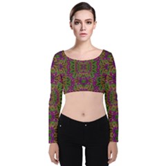 Peacock Lace In The Nature Velvet Long Sleeve Crop Top by pepitasart