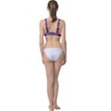 Bandes Peinture Violet  Classic Banded Bikini Top View2