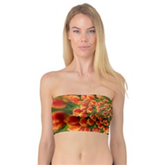 Tulips Arrangement Many Blossom Bandeau Top by Wegoenart