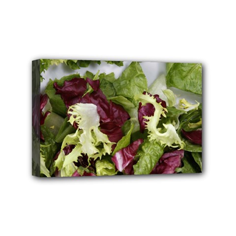 Salad Lettuce Vegetable Mini Canvas 6  X 4  (stretched) by Sapixe