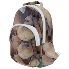 Close Up Mushroom Abstract Rounded Multi Pocket Backpack by Fractalsandkaleidoscopes