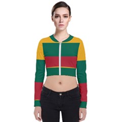 Lithuania Flag Long Sleeve Zip Up Bomber Jacket by FlagGallery