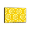 Lemon Fruits Slice Seamless Pattern Mini Canvas 6  x 4  (Stretched) View1