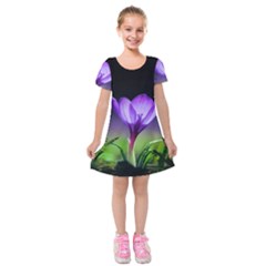 Floral Nature Kids  Short Sleeve Velvet Dress by Sparkle