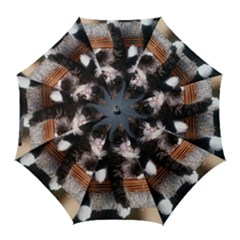 Cats Brothers Golf Umbrellas by Sparkle